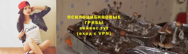 соль ск Остров