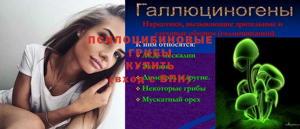 МДПВ Инта