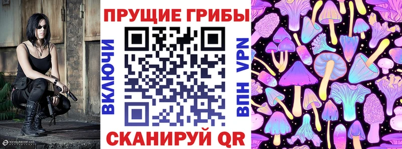Псилоцибиновые грибы Cubensis  Купить где  Жирновск 
