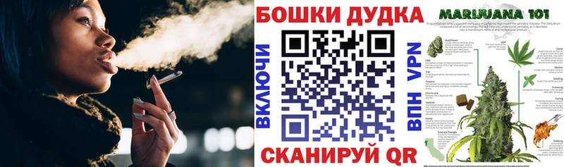 Купить где  Жирновск  Каннабис план 